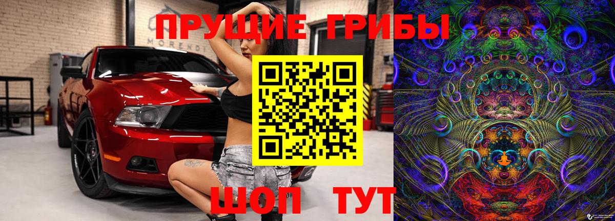 Галлюциногенные грибы GOLDEN TEACHER Печора