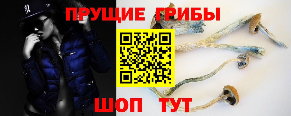 Псилоцибиновые грибы прущие грибы  Псилоцибиновые грибы мицелий  Вход с VPN  Печора 